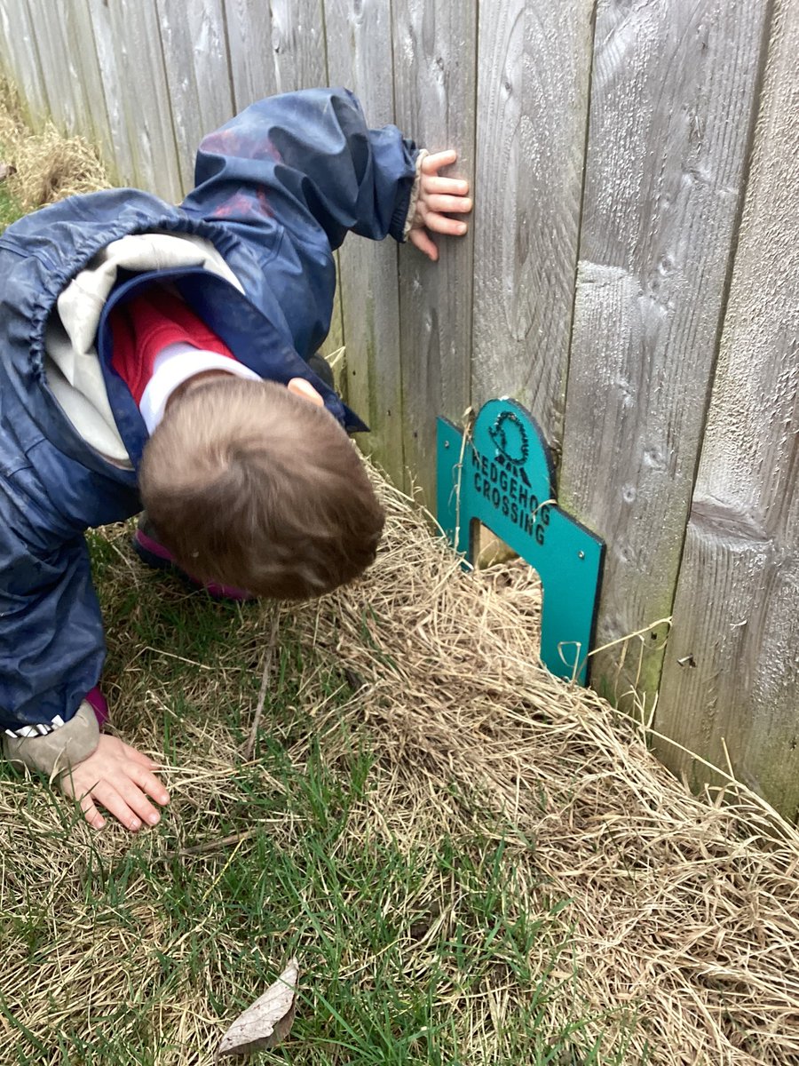 We LOVED Forest School today! We explored and observed seasonal changes, and we were so excited to see frogs and find lots of frogspawn in the pond! 🐸 #harrowgateacademy #harrowgateforestschool #harrowgateeyfs #harrowgatepd