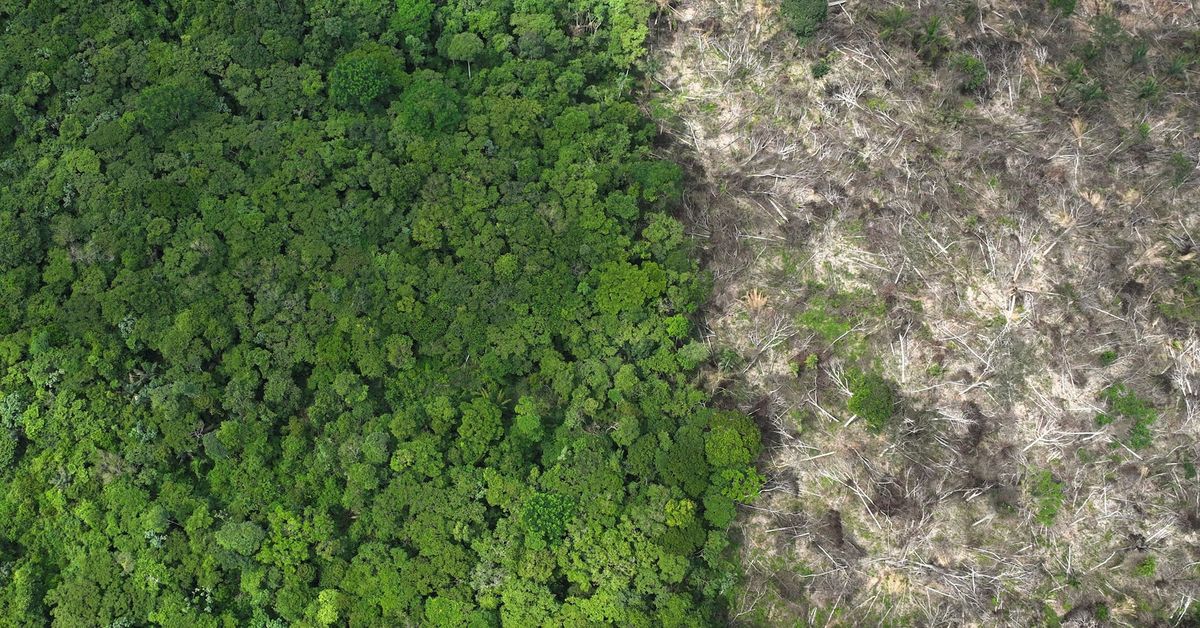 EU attempts to smooth South American complaints over deforestation policy reut.rs/49Qyv3M