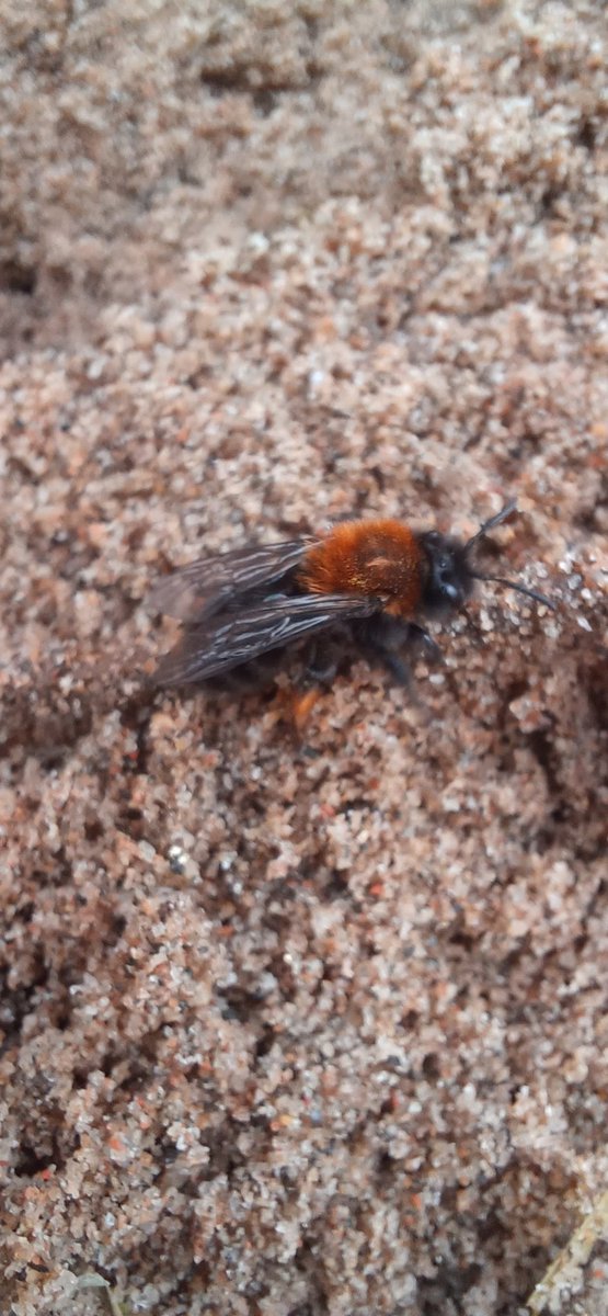 john_gkeeping💚 tweet media