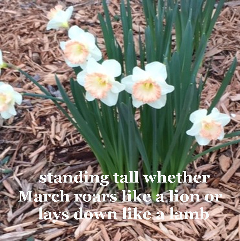 mikewilsonauth1's tweet photo. Haiku and photo by Mike Wilson
.
.
.
.
https://t.co/5QIZ8oujPm #writingprompt #wordcount #indie #VerseOfTheDay #poet #peace #HopeForGood #light #ConsciousPlanet #WordOfTheDay #written #KNOWLEDGE #wise #Tweet #mikewilsonauthor https://t.co/r6lRgxd40j