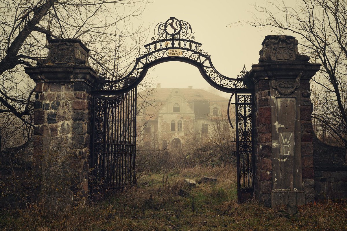HoganSOG's tweet image. This is like the opening scene of a novel. I believe this is a abandoned manor house in Belgium. NMP.
