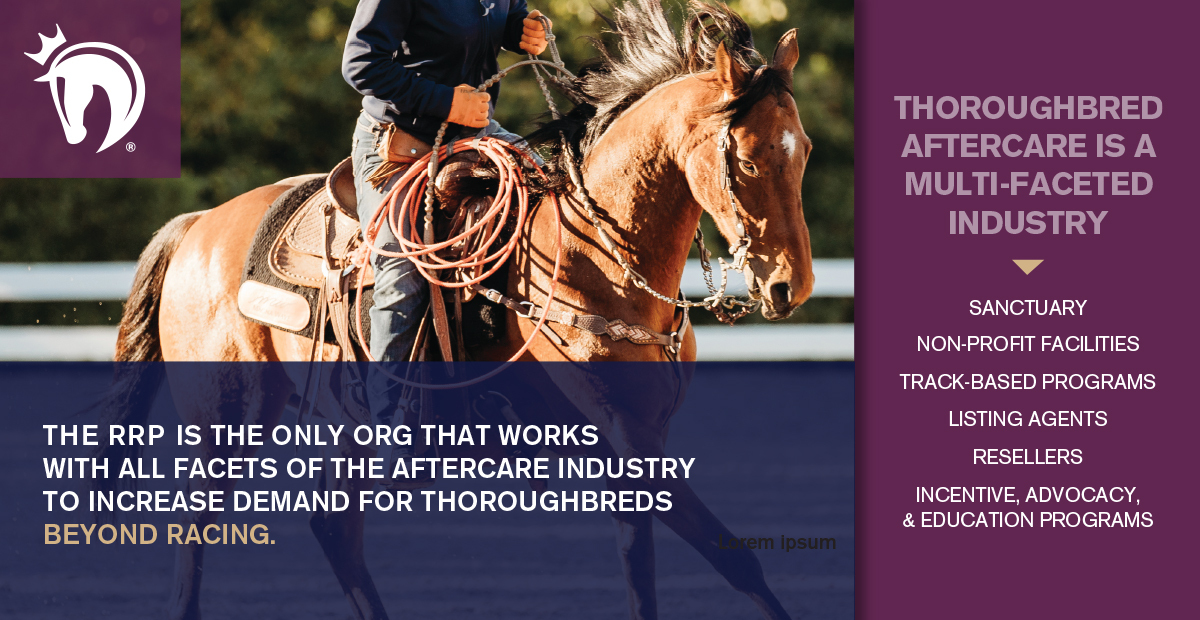 Thoroughbred aftercare is a multi-faceted industry, and it takes all branches working together to secure futures for horses retiring from racing. The RRP is uniquely placed as the only organization to work with all: learn more at TheRRP.org and support our work!