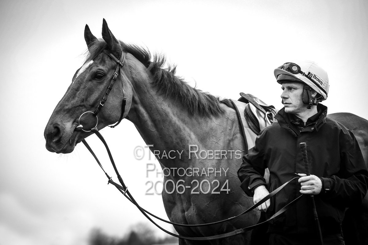 TurfPix's tweet image. State Man with @PTownend @CheltenhamRaces @WillieMullinsNH #cheltfest