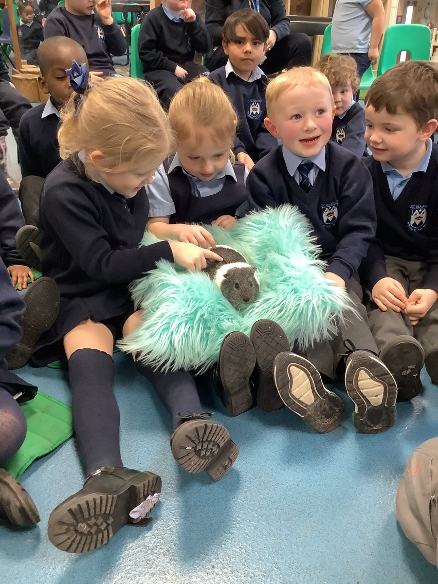StMariesKirkby's tweet image. The children in EYF’s really enjoyed the visit from @AnimalsTakeOver They learnt about what the animals like to eat and how to care for them.