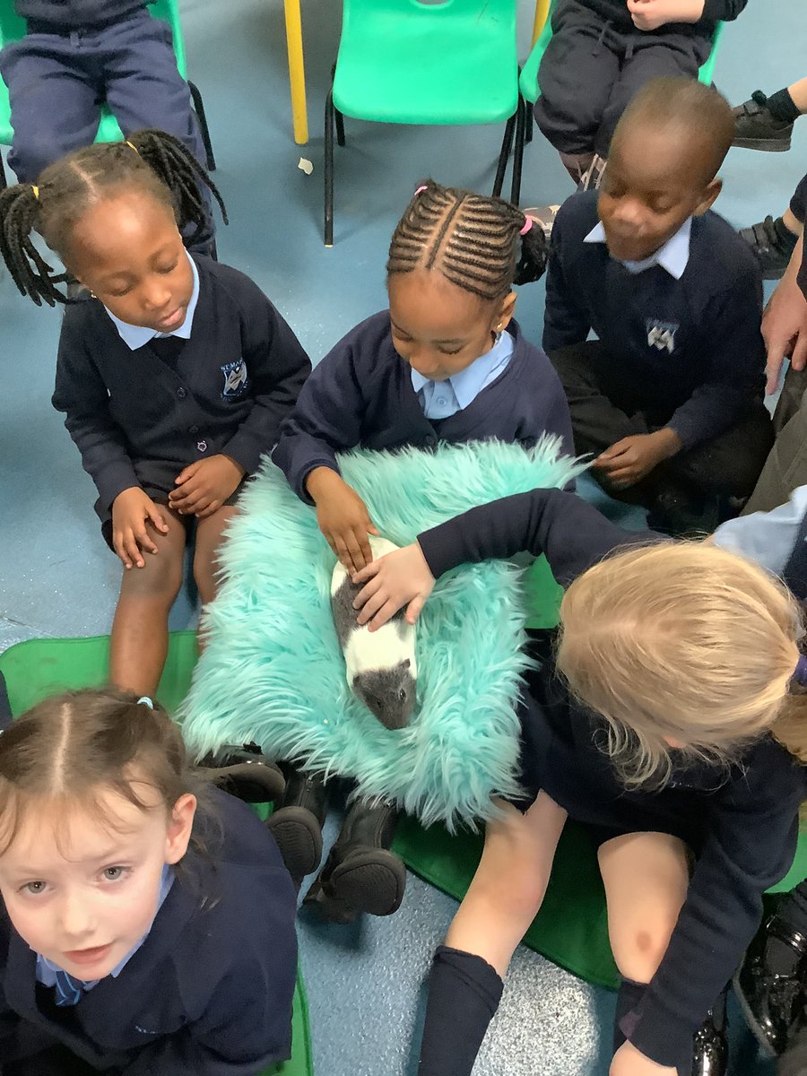 StMariesKirkby's tweet image. The children in EYF’s really enjoyed the visit from @AnimalsTakeOver They learnt about what the animals like to eat and how to care for them.