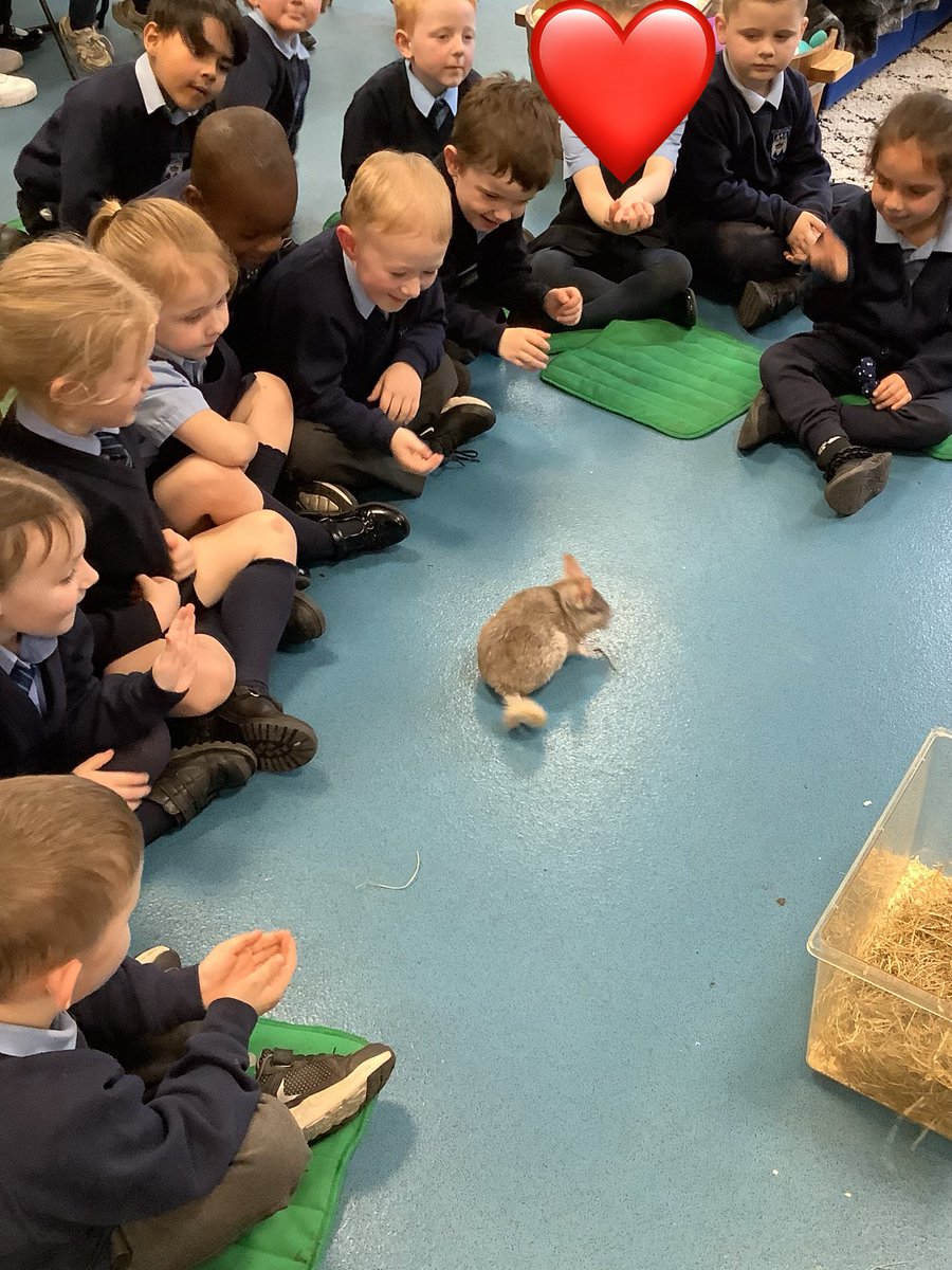 The children in EYF’s really enjoyed the visit from @AnimalsTakeOver They learnt about what the animals like to eat and how to care for them.