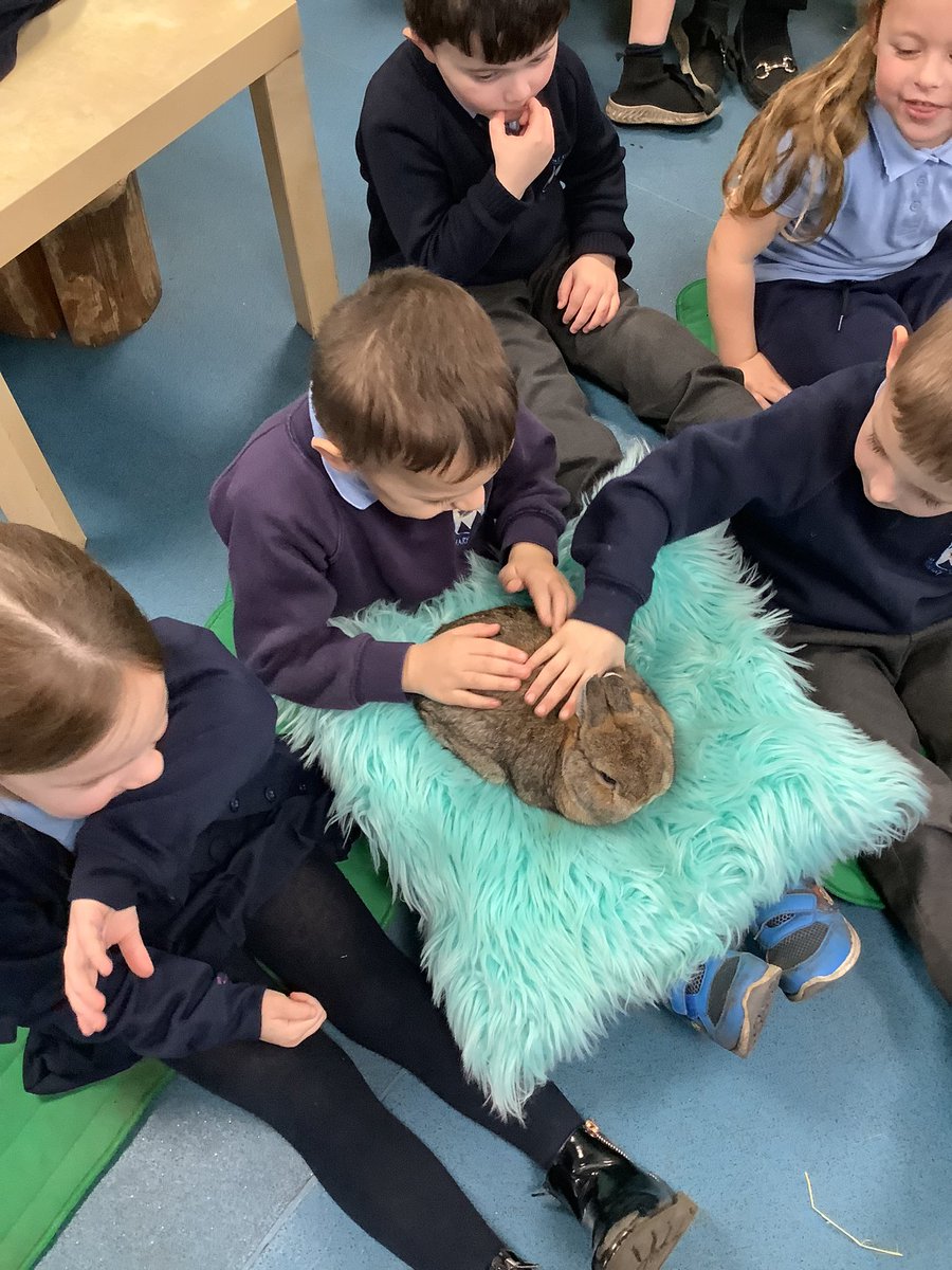 StMariesKirkby's tweet image. The children in EYF’s really enjoyed the visit from @AnimalsTakeOver They learnt about what the animals like to eat and how to care for them.
