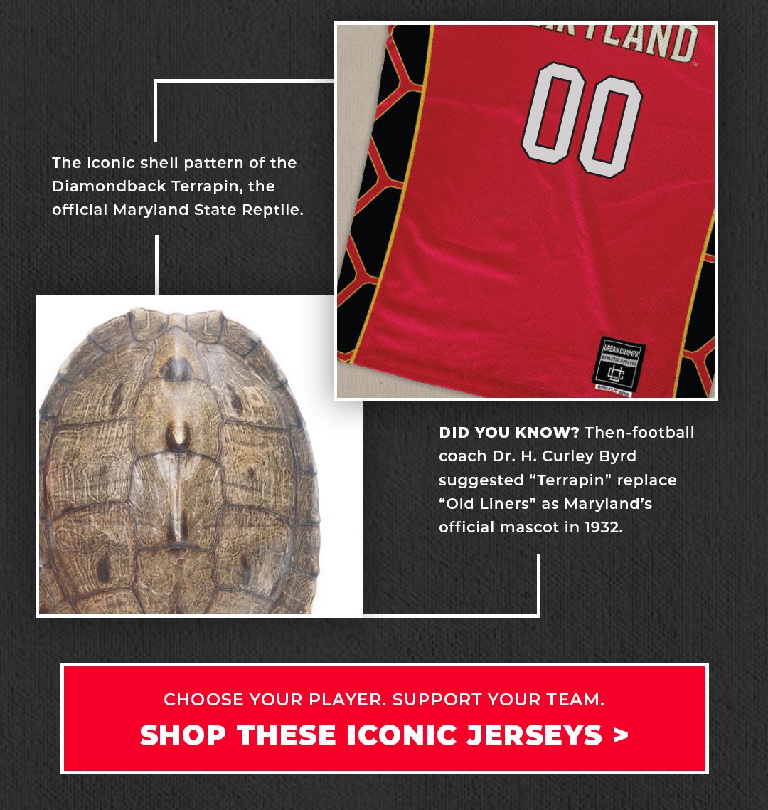 TerpsNILStore's tweet photo. Campus Edition Jerseys are STILL AVAILABLEโผ๏ธ๐จ๐ฅ
Link: https://t.co/md72CDEtWU
#MerchMaddness #Maryland #GoMaryland #Terps #GoTerps #UMD #BigTen #B1G https://t.co/jno1awF8OY