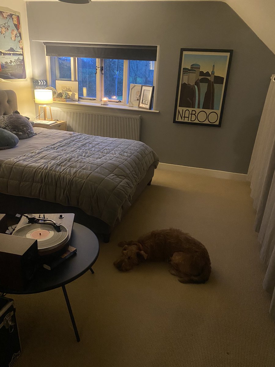 Having a snooze in jnr jnr’s room. Just checking all good in the countryside hood. #cosy