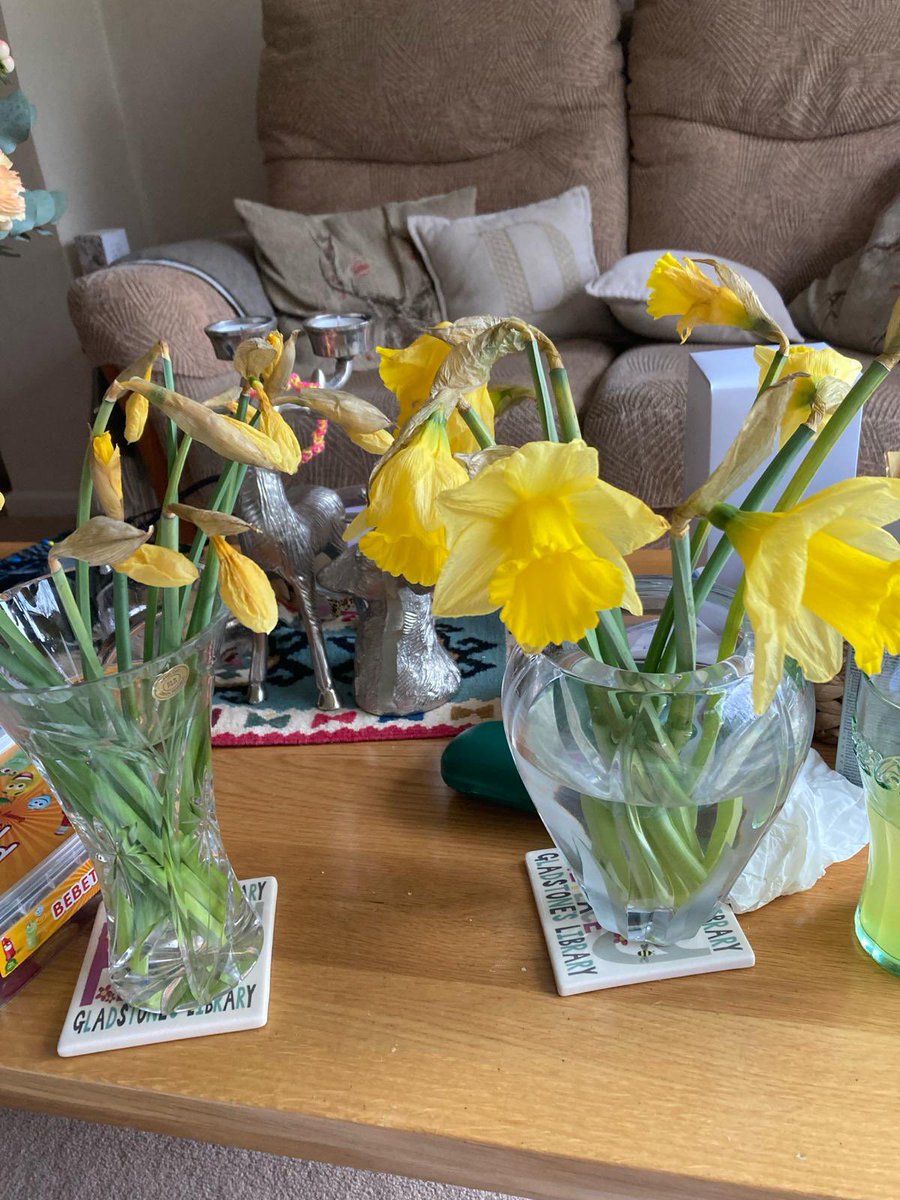 @marksandspencer @AldiUK - 2 bunches of daffodils, one from each store bought at the same time.  Have a guess which ones didn’t open at all…  #anotheraldiwin #whypaymore interested to hear comments…..
