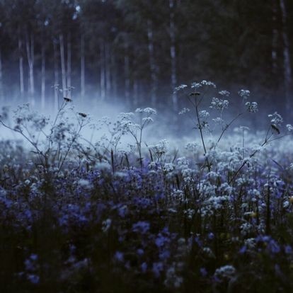 ㅤ         ㅤㅤㅤ           ᴼˡᵈ ᴷᵃˡⁱˢᵗᵃ ㅤ   
         ㅤㅤ
       - 𝐈 𝐚𝐦 𝐟𝐨𝐫𝐜𝐞𝐝 𝐭𝐨 𝐠𝐞𝐭 𝐦𝐚𝐫𝐫𝐢𝐞𝐝 𝐢𝐧 𝟑 𝐝𝐚𝐲𝐬     
                       𝐡𝐨𝐰 𝐝𝐨 𝐲𝐨𝐮 𝐭𝐡𝐢𝐧𝐤 𝐈 𝐟𝐞𝐞𝐥?

                                               ֶָ֢