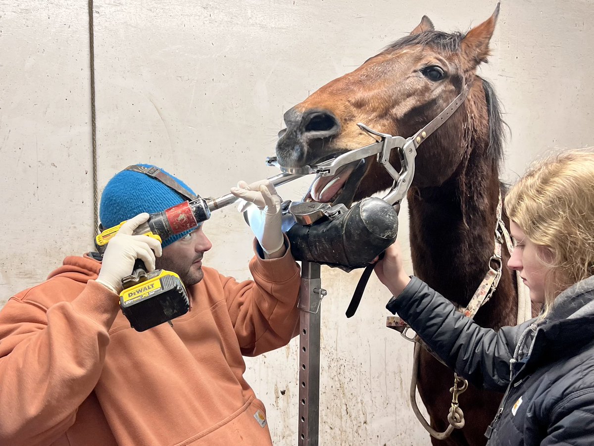 TMC_Cat's tweet photo. When you are multitasking level 10… horse to vet, kid to work, plot work done! https://t.co/BFTwTBXwAu