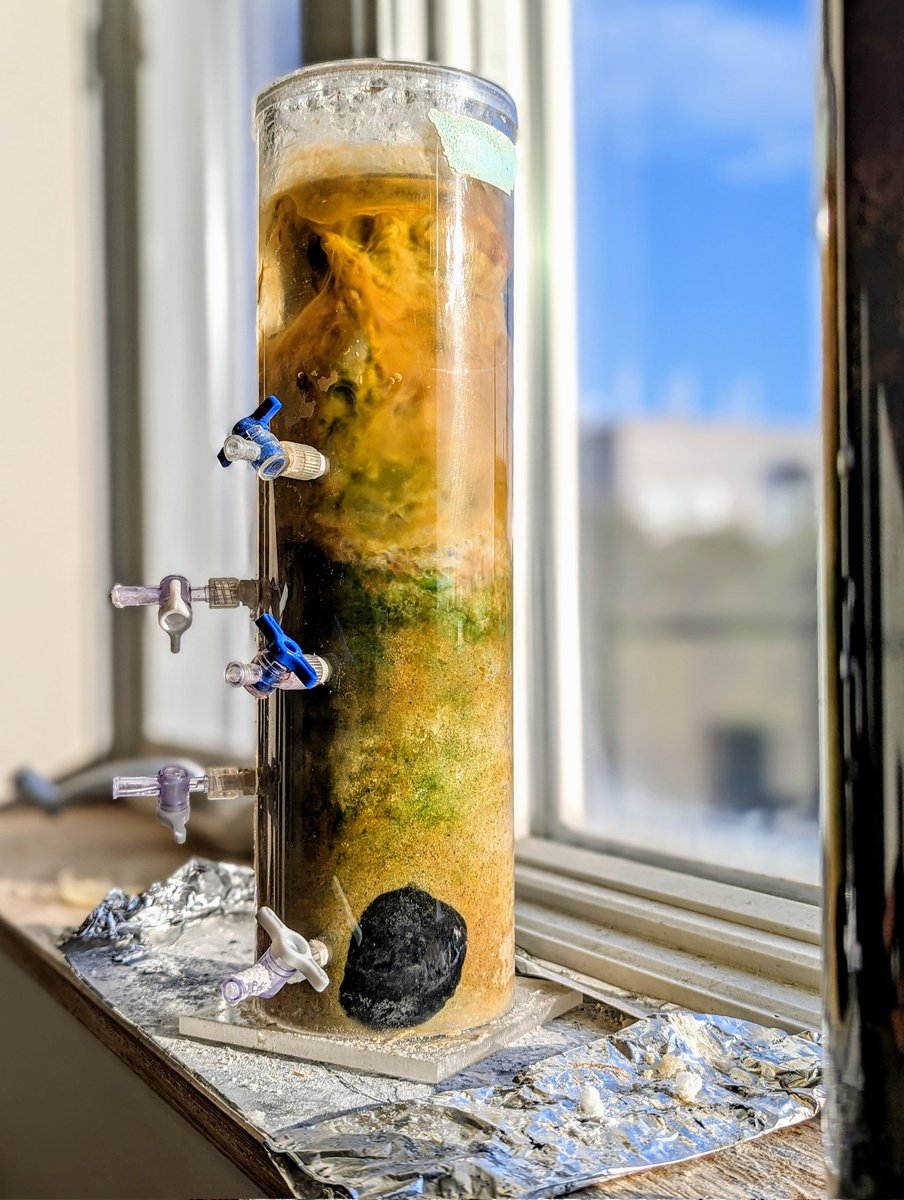 An old (~2010) Winogradsky column sitting in my office window has started to develop a great black spot 🤔
#winogradsky #winogradskycolumn #greatblackspot