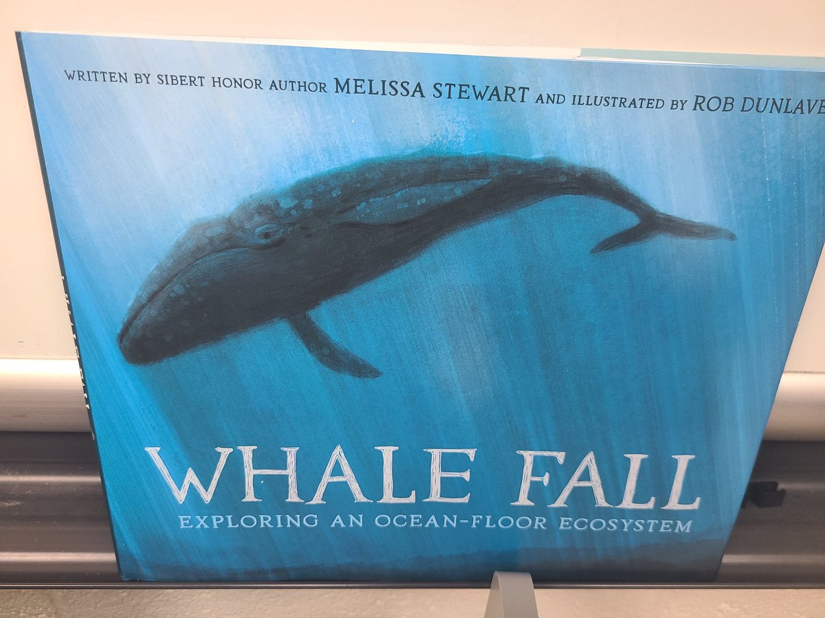 We had a lot of questions in my classroom about the beached whales and what happened to them. I took the opportunity to read this amazing book by @mstewartscience to my kindergartners. They were amazed at how long a whale fall can feed all types deep sea of organisms.