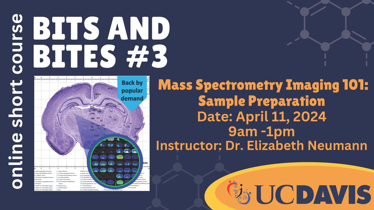 Join us for Bits & Bites #03 From tissue freezing to data analysis, kick-start your project with practical guidance from Prof @DrE_Neumann! Register now to unlock the potential of mass spectrometry Imaging. na.eventscloud.com/ereg/index.php… See you there! @IMSSNews @MSACL @LampsNetwork