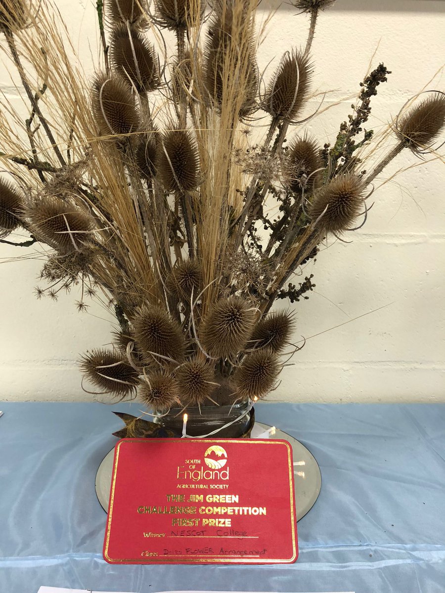 Wins for our football academy @Nescot and our foundation students in the Jim Green challenge @SouthEngShows for their dried flower display. Well done #TeamNescot