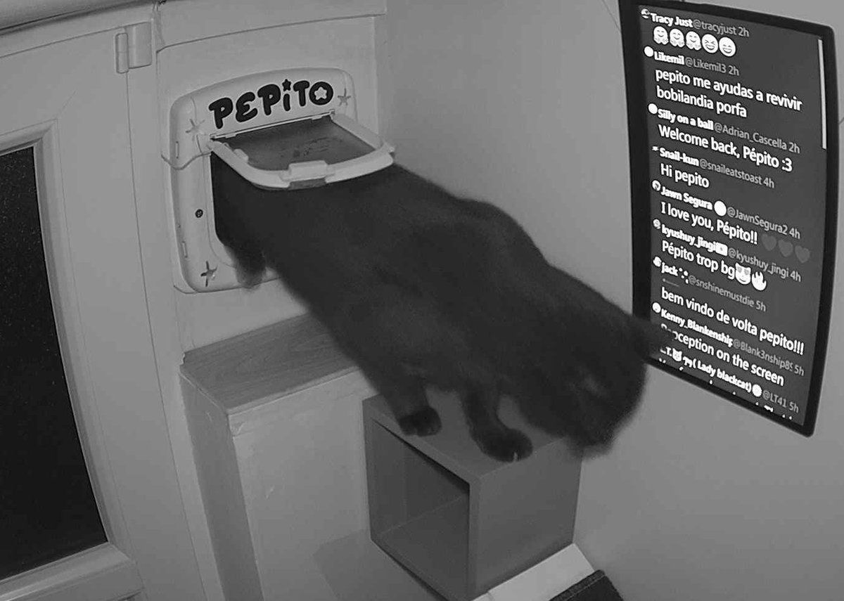 Pépito is back home (22:58:01)