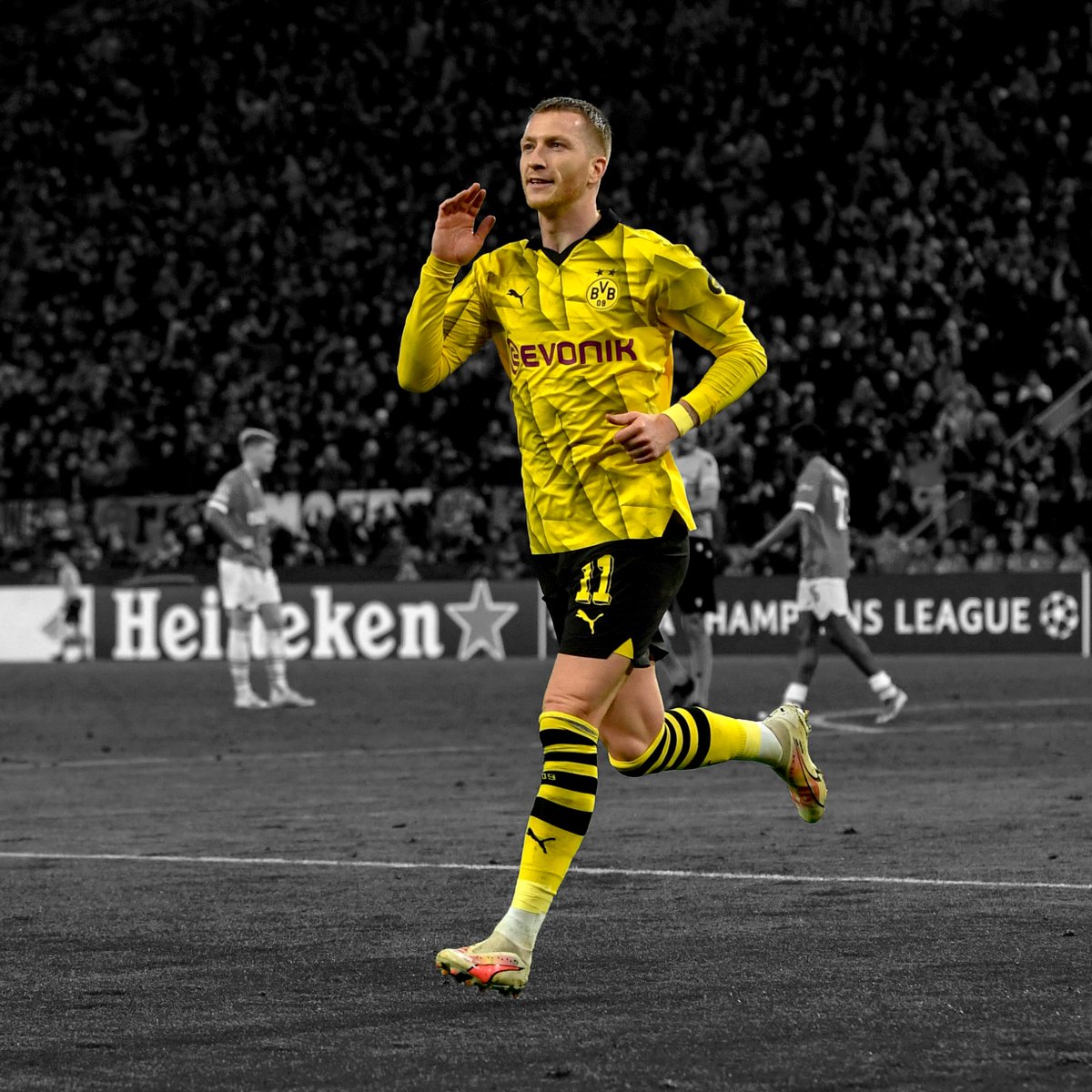 On his way to the 🐐 convention