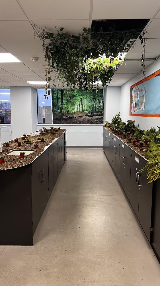WappingHigh's tweet photo. Staff and students transformed this science lab into a rainforest as students got to take part in interactive activities at our amazing Science Fair. https://t.co/uy14qykDOW