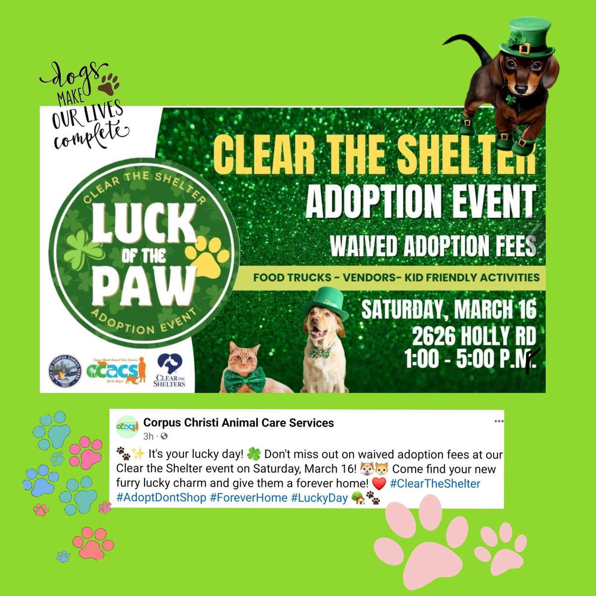 Hello #CorpusChristi #TX #ShelterDogs #CorpusChristiNeighbors #ClearTheShelter #AdoptDontShop Adoption Event 3/16