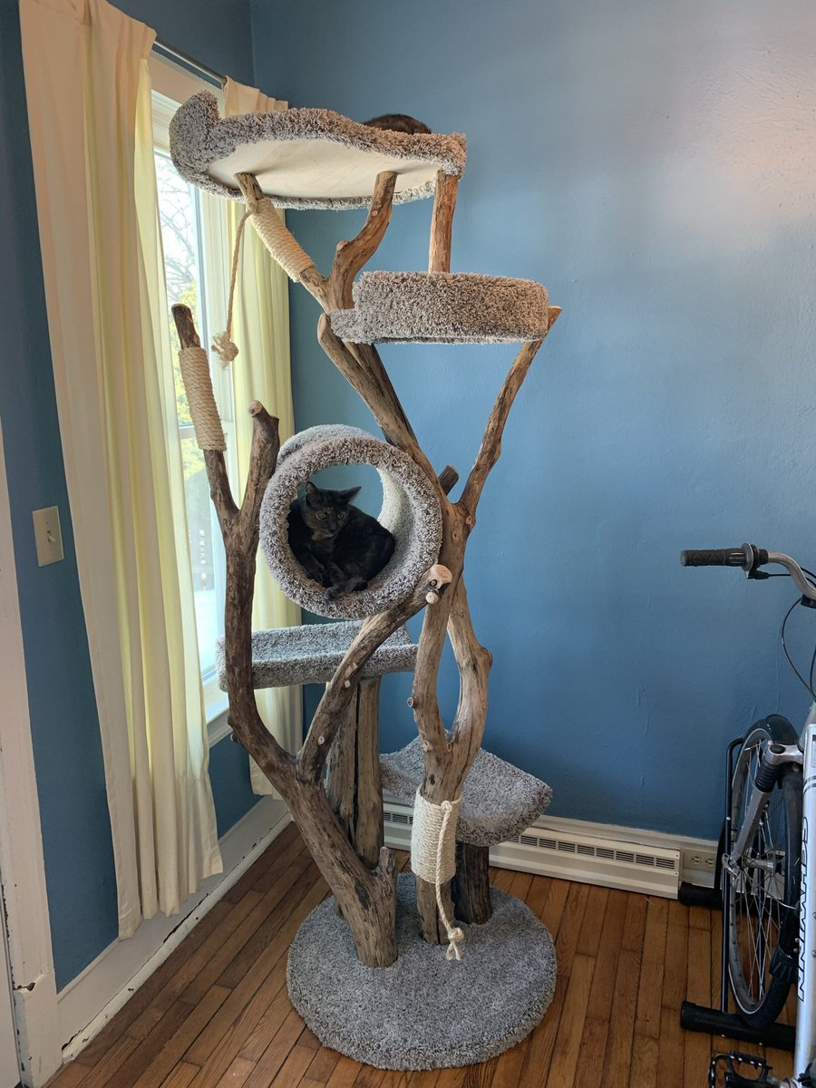 Miese's tweet photo. @tastiestofnoms @curtise3 Our two have loved this thing since day one and every day since. https://t.co/XBCp93wrRx