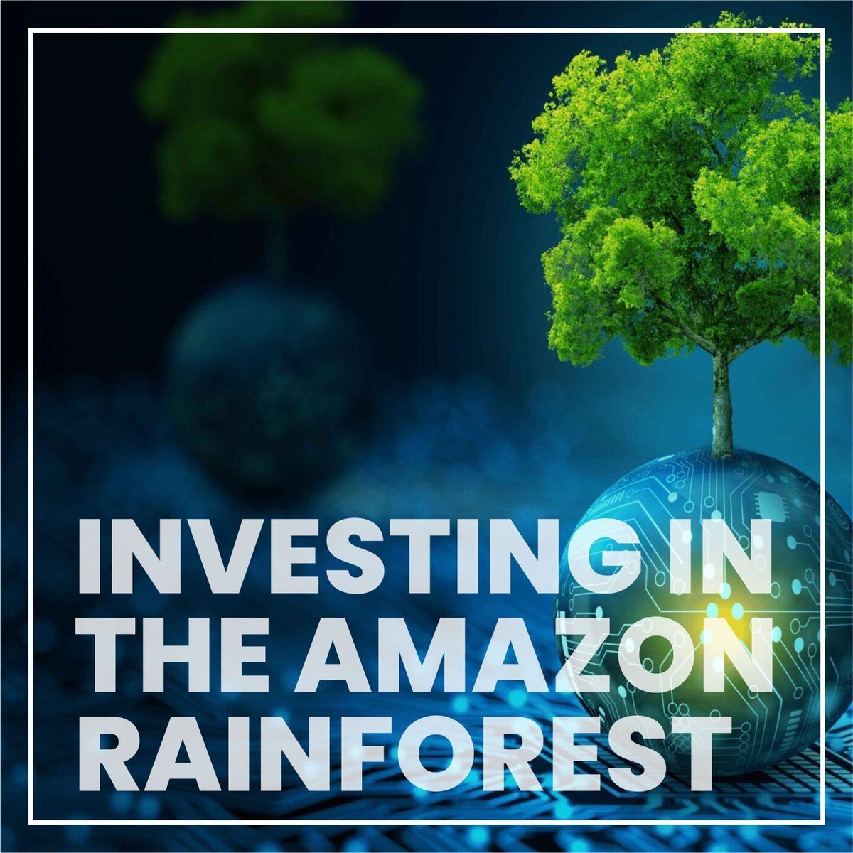 Protecting the Amazon is crucial. 7 out of 10 people see it as vital for economic growth. Economic progress should align with sustainability. Bioma Eco Project supports this vision. 

Learn more at our website.

 #Amazon #Sustainability