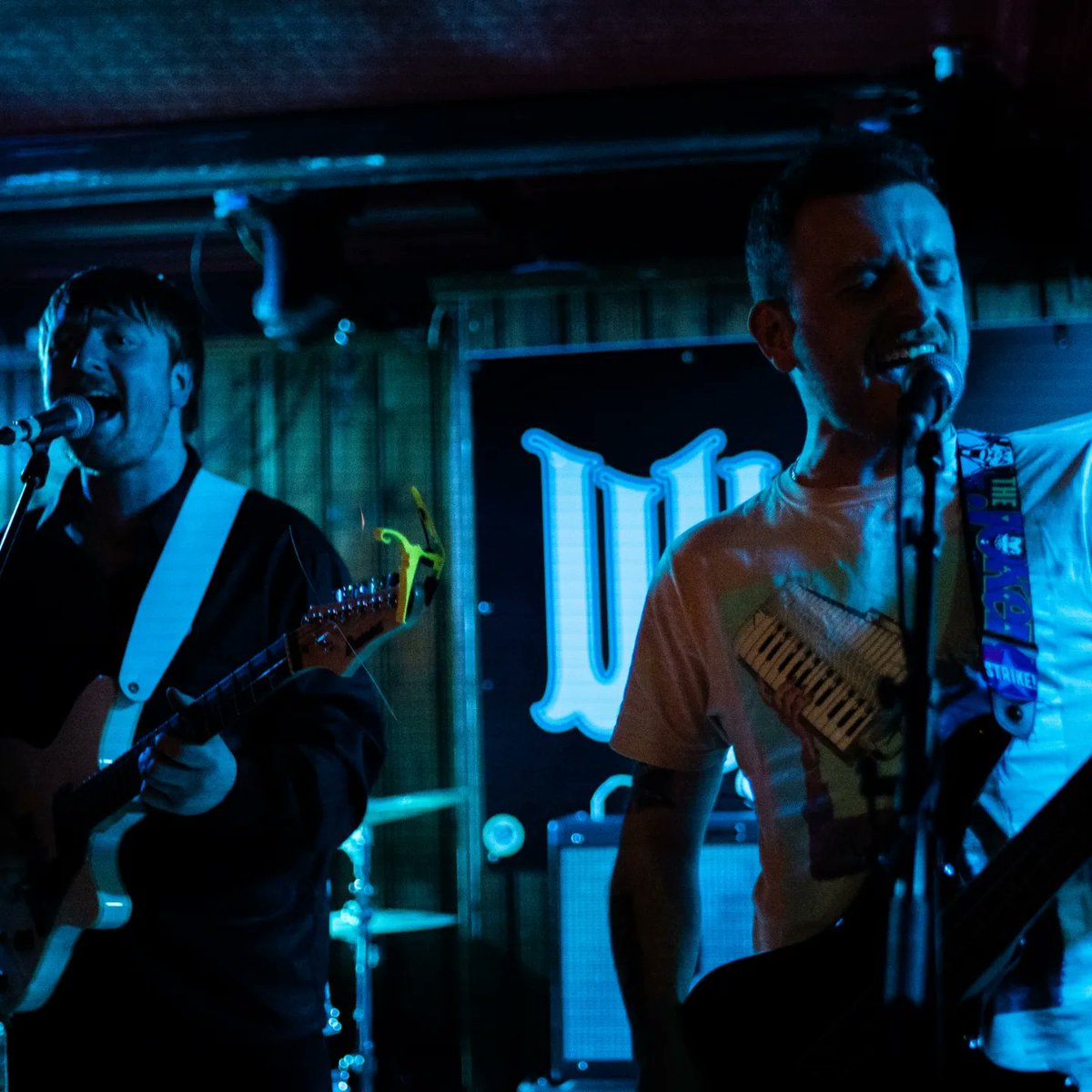 Search Party tweet media