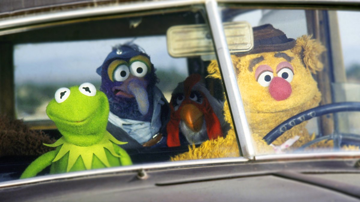 GonzotheGreat's tweet image. I don't know about you, but I LOVE being a backseat driver! That's why I'm installing breaks and a steering wheel in the backseat of all of my friends' cars. They're gonna love it!!