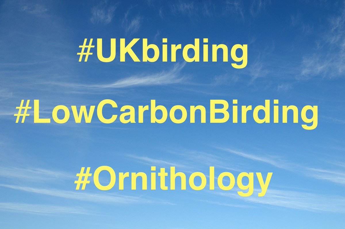 Imagine, Twitter like it was back in the day. Growing our communities. Friendly. Well, imagine no longer cos that’s what it’s like over on @Bluesky as our #ukbirding #ornithology and #LowCarbonBirding communities grow. And … no adverts! Come join us. bsky.social/about/blog/02-…