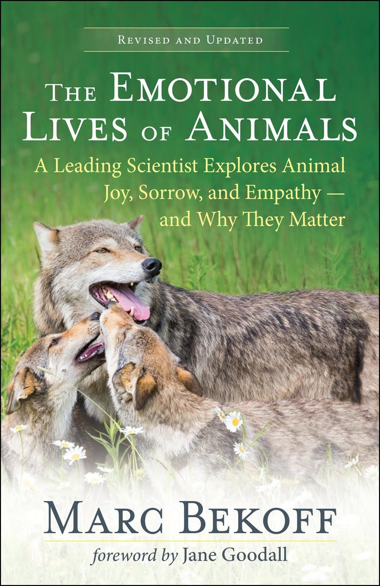 The Emotional Lives of Animals (revised): A Leading Scientist Explores Animal Joy, Sorrow, and Empathy ― and Why They Matter (2024) amazon.com/Emotional-Live…