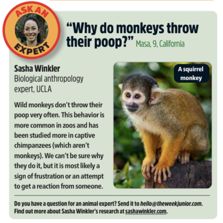 Sasha Winkler, PhD tweet media