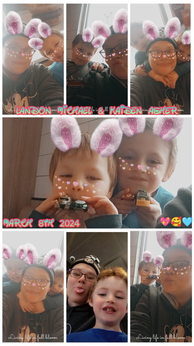 KimberlyRay92's tweet photo. My sweet boys!!! https://t.co/vTnkCxuUa7