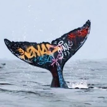 Snapbilby tweet media