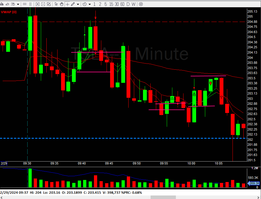 TSLA Trade long trade