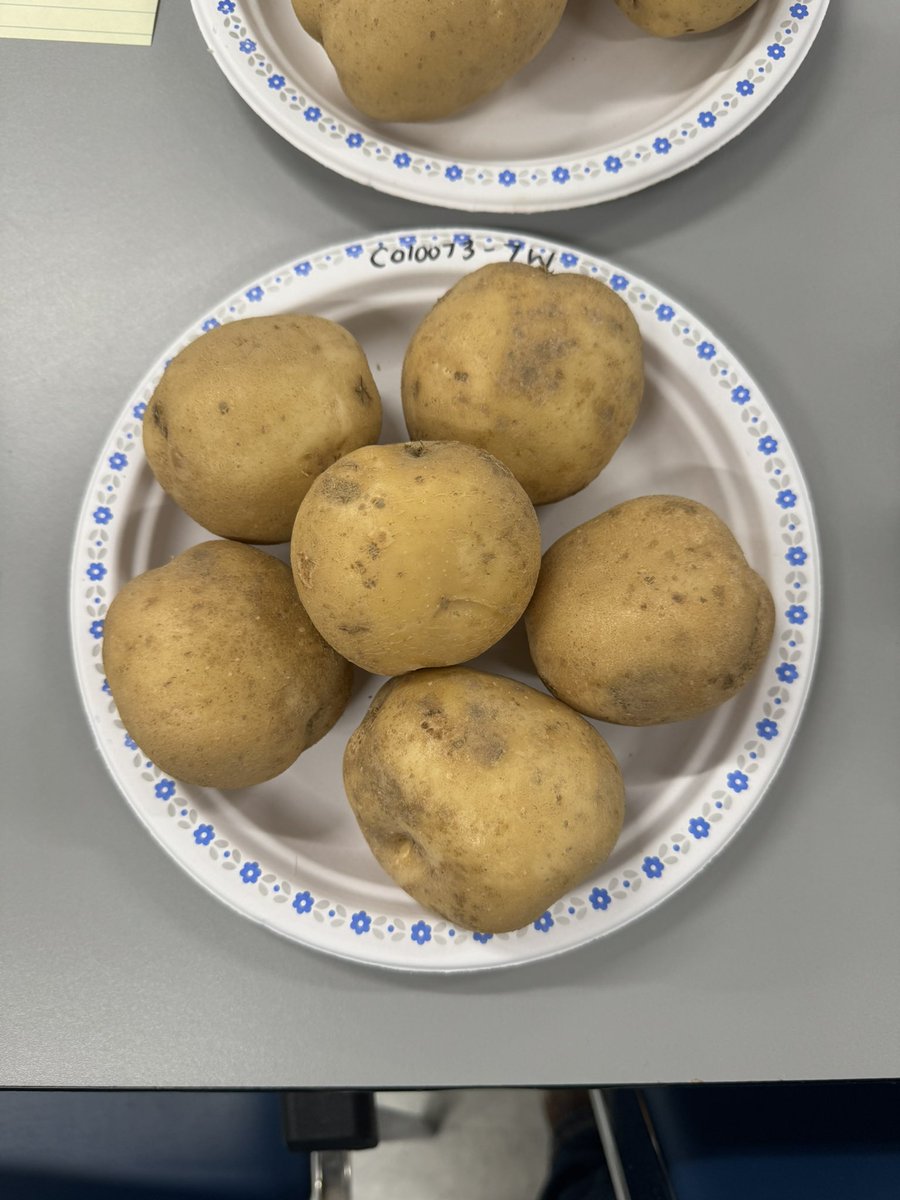 Aden Culberson tweet media