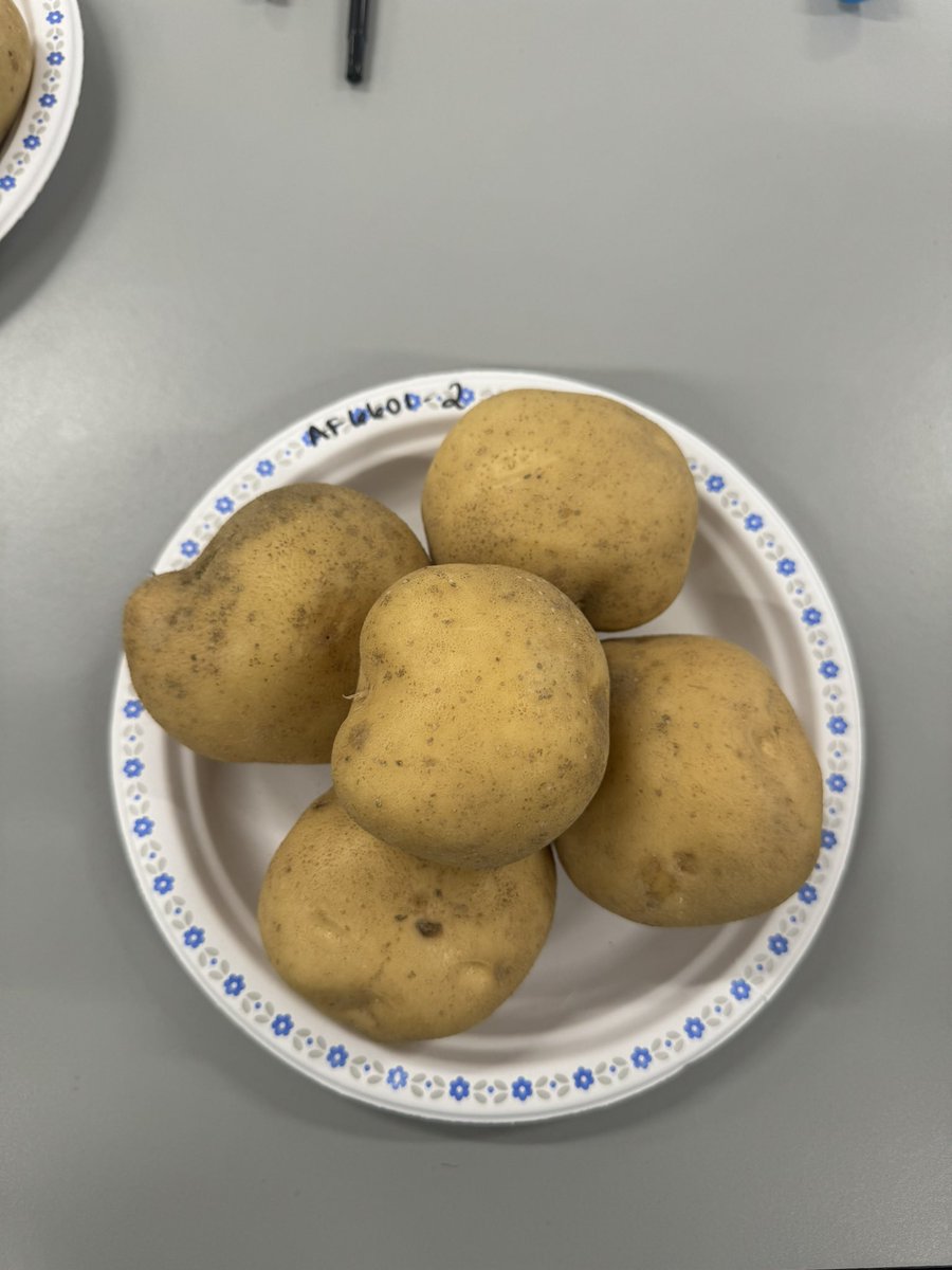 Aden Culberson tweet media