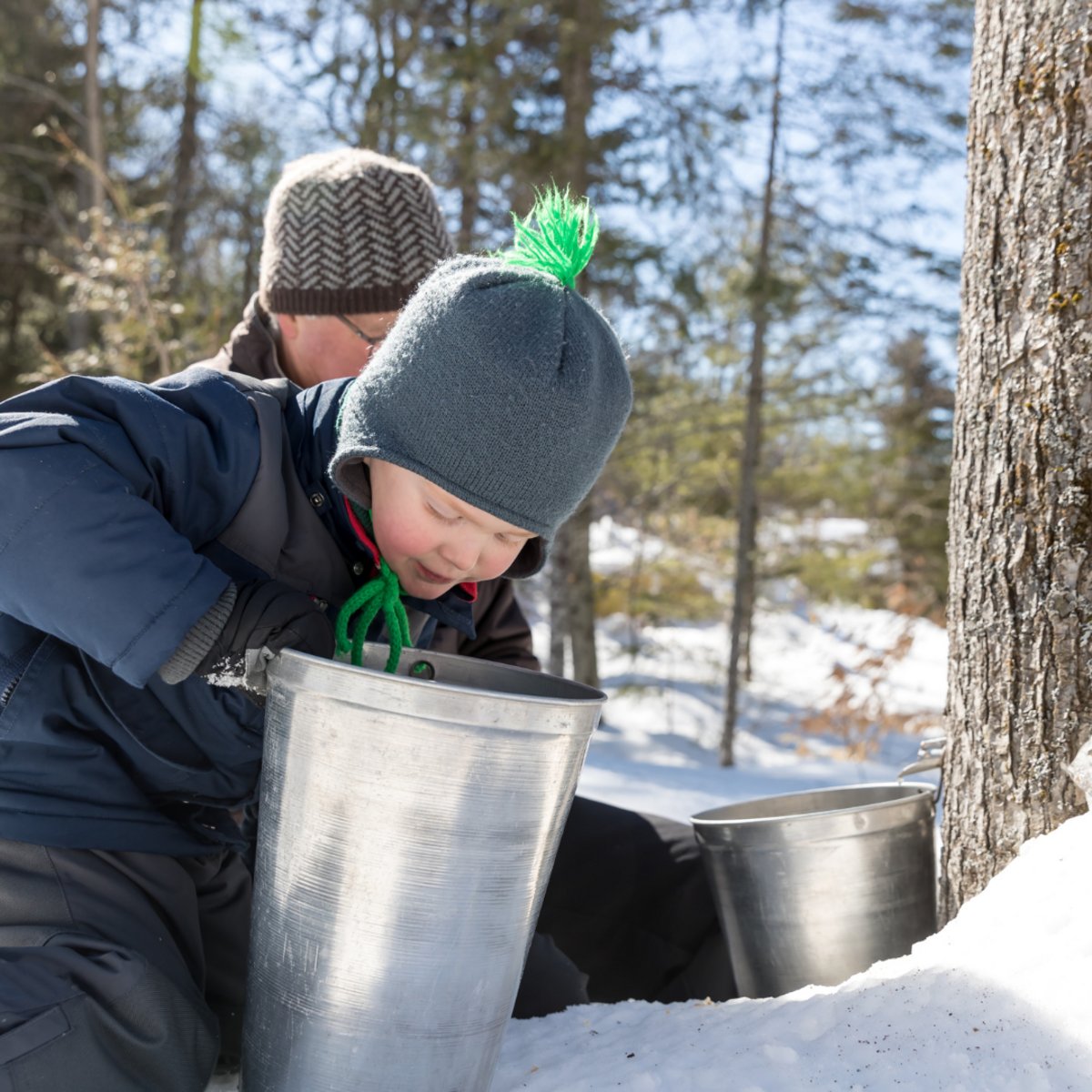 CountryInnCNHS's tweet image. The sap's already flowing at the Arboretum! They tap more than 350 trees every winter; that's a lot of #sap! It's the perfect time to enjoy the sweetness of #maplesyrup at #MapleFest on March 23rd, from 9 am to 2 pm at Frog Hollow &amp;amp; Maple Sugar House. bit.ly/3T8iVsT