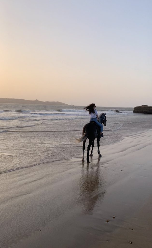 atlaoutdoor's tweet photo. Free spirits, wild hearts 🧡
:
:
:
Contact @atlasoutdoor_morocco  to explore the best of Morocco:

🔍https://t.co/Nxu6R46KDB
:
:
#horsesplanet #adventure #essaouira_city #moroccotrip https://t.co/Y3R2Rt6C0F