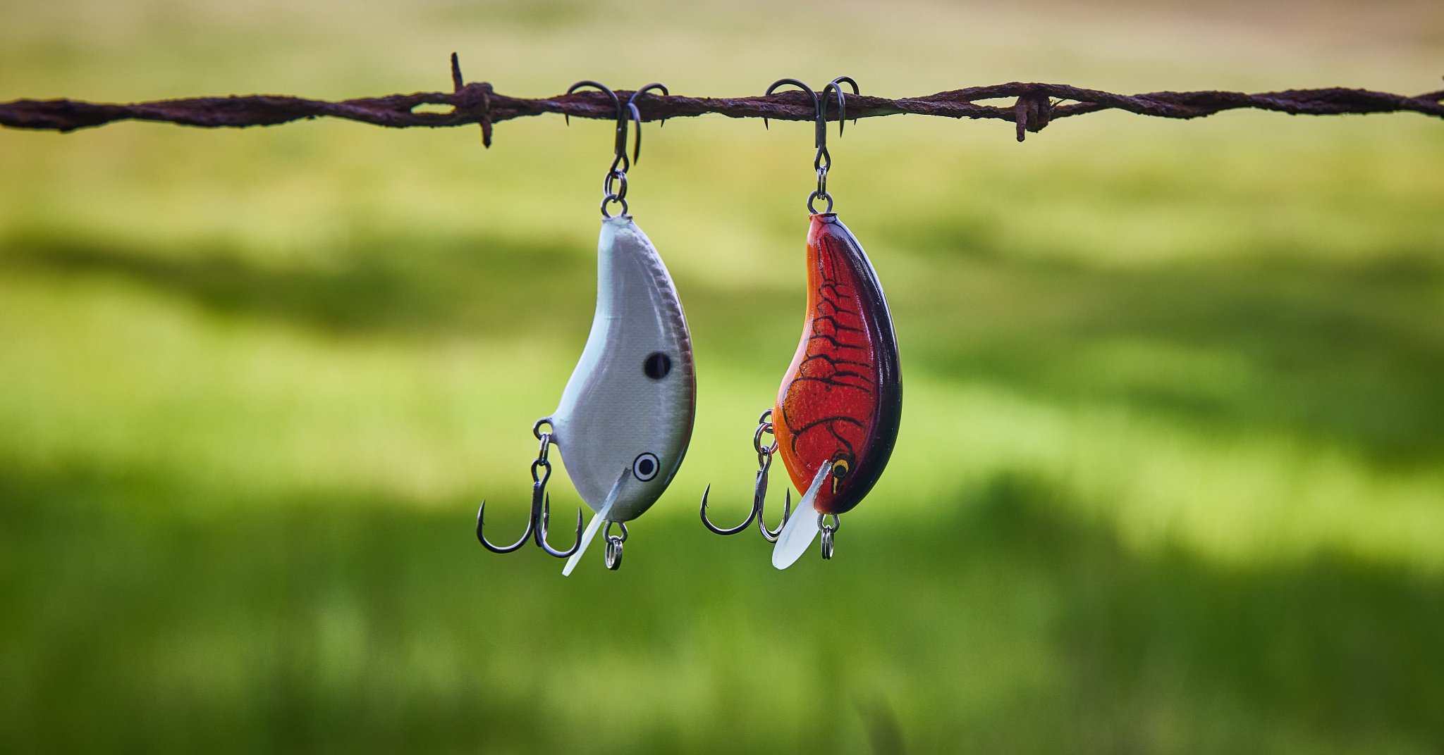 Tackle Warehouse on X: 🔥DAILY SPECIAL🔥 Shop Now 👉   25% - 34% Off Rapala Ott's Garage OG Tiny 4  Crankbaits Now: $6.58 - $7.49, Save: $2.50 - $3.41