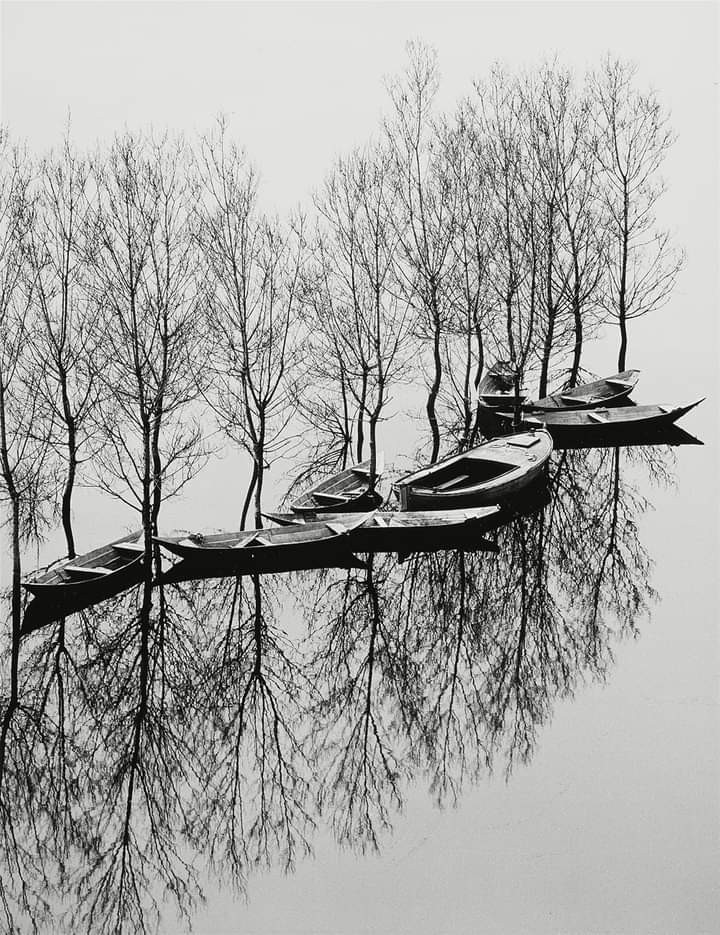 literatura_rte's tweet photo. Toni Schneiders https://t.co/pTH2IprOja