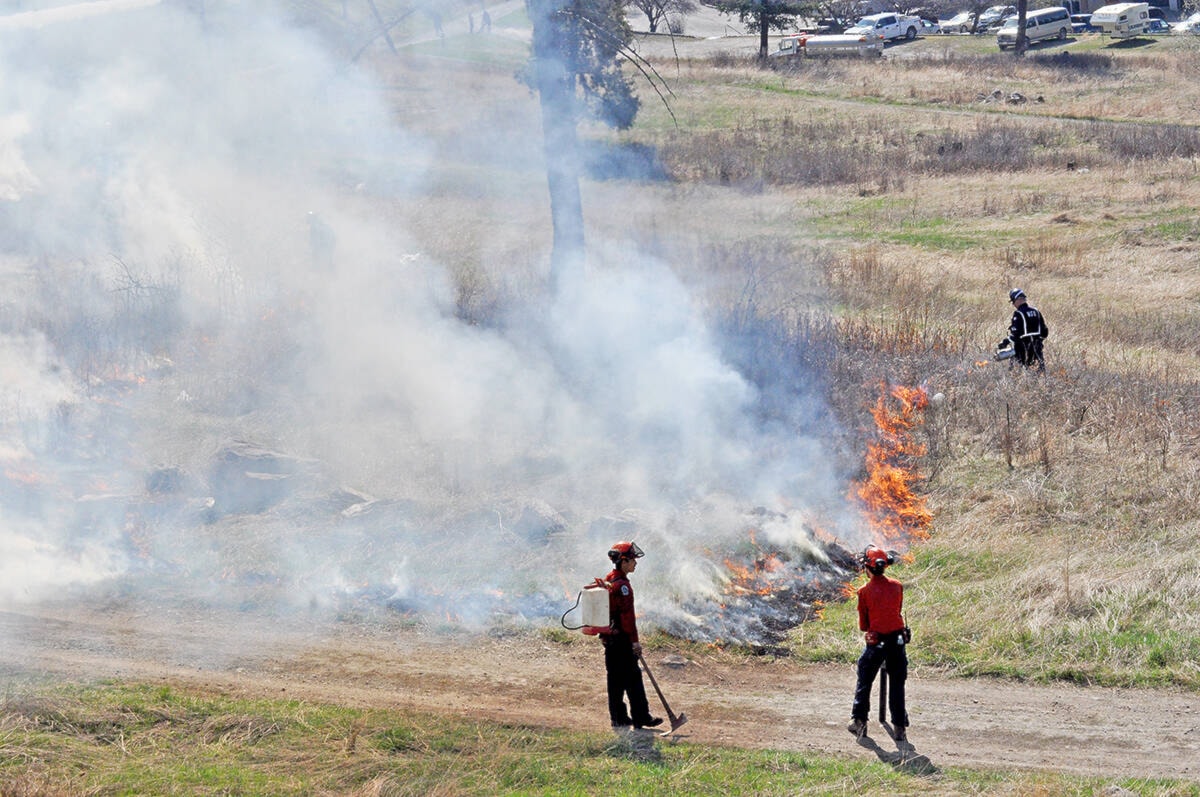 Controlled burns planned inside Williams Lake city limits dlvr.it/T42MVv