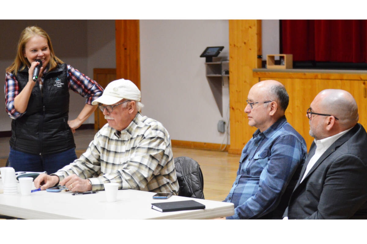 Twin town halls get Quesnel talking to elected officials dlvr.it/T42MXC