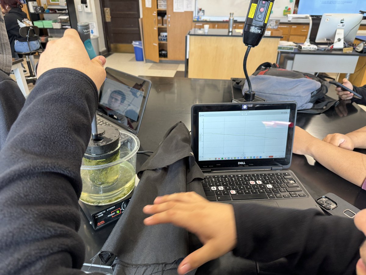 MrArsenie's tweet image. Quick follow up to our photosynthesis lab in our @CarlSchurzHS #ibbio class today!