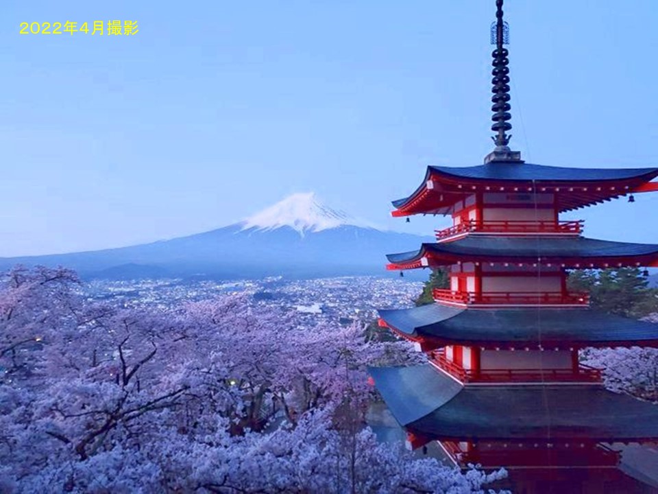 （お疲れ様でした▽私(Ra)他の部署に人事異動となり、心惜しいですが最後のXとなります▽今日は暖かく春を感じました▽来週には桜が開花しそう花見シーズンが到来、桜と富士山、楽しみです▽2年間、拙いつぶやきにお付き合い頂きありがとうございました▽Thank you for your time バイちゃ🙇‍♂️）（Ra）