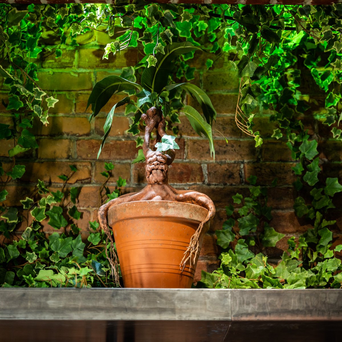 DO NOT forget your earmuffs when handling these melodious Mandrakes! Spot a few of these pesky plants in the Toys & Games room at #HarryPotterNY 🎧 #EarmuffDay