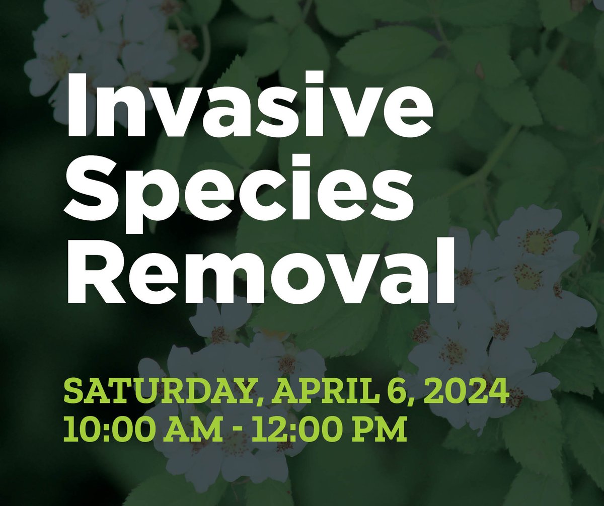 Join us for an Invasive Species Removal and Plant Pull event hosted by CRWC! Help restore the natural beauty of Avon Nature Area and CRWC Office grounds by removing invasive species and preparing for native plant installation.  Learn more and register at crwc.org/events/invasiv…