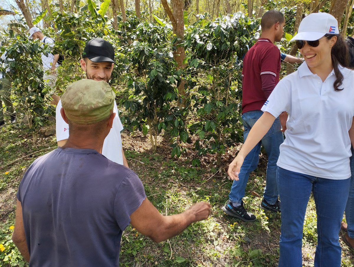 LienAP77's tweet photo. La Misión de Supervisión del #FIDA a #PRODECAFÉ continúa en Yateras, Guantánamo, en #diálogo abierto con nuestros productores-as. Evidencias múltiples que visualizan la mezcla de saber local con aportes del Proyecto, enrutan hoy las #continuidades con mejor definición del hacer!. https://t.co/zp33cr57Jo