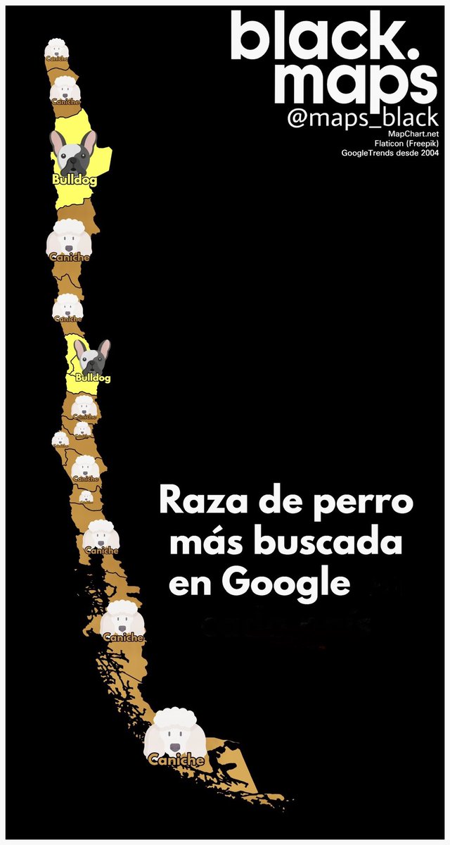 BlackMaps 🗺️ tweet media