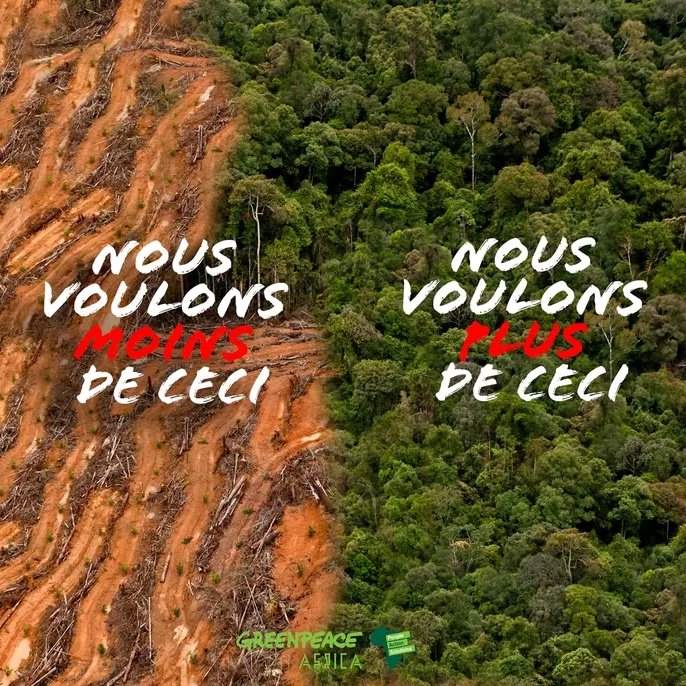 #NouvellePhotoDeProfil