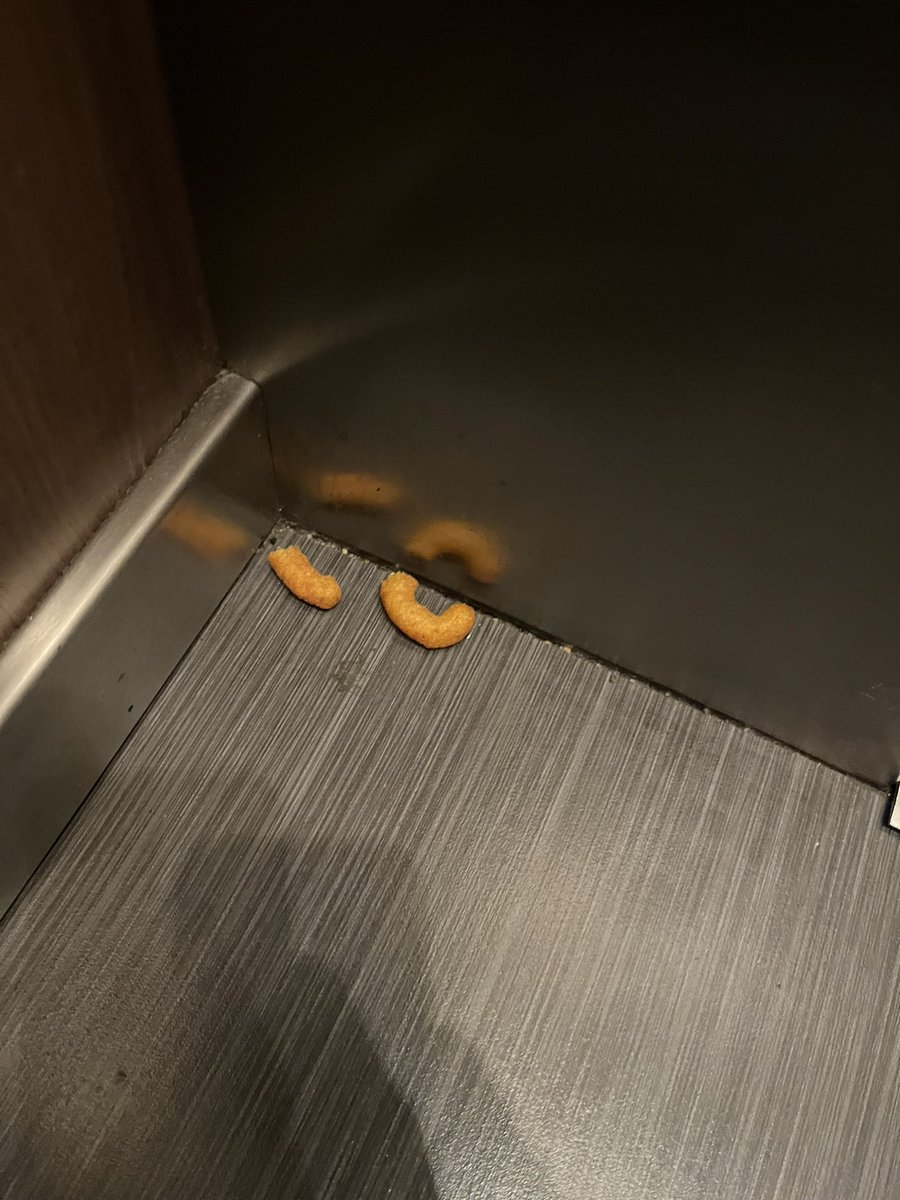 There are 2 wotsits on the floor in my hotel lift. Tucked into a corner. I’m very intrigued!